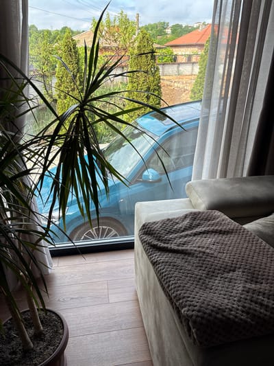 A view from inside a room in Dolno Drianovo, Bulgaria, shows a Dracaena plant in the foreground, partially obscuring a window. Outside the window, a blue car is visible, along with a view of a building under construction with a red-tiled roof and surrounding greenery. The room has a light-colored couch with a brown throw blanket. The floor is light wood. The curtains are sheer white. The image appears to be taken during daylight hours.
