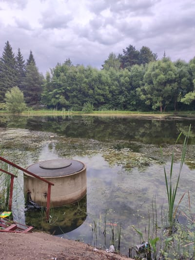 This is a photograph of a concrete wellhead with a metal lid, partially submerged in a body of water. The wellhead is situated near the edge of a muddy bank and is equipped with a red metal railing and steps. Surrounding the wellhead, the water is murky and covered with algae and scattered debris, including a black plastic bag, cigarette butts, and a discarded aluminum can. Tall green reeds and other aquatic plants are visible in the water. In the background, a dense forest of green trees lines the opposite bank of the water. The sky is overcast with gray clouds. The location is identified as Alabino, Russia.