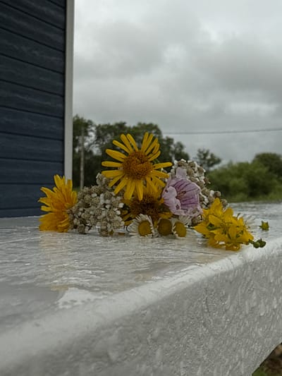 A still life of wildflowers is arranged on a wet, textured surface, possibly a railing or ledge, in Vozdvijenka, Russia. The flowers consist of several yellow daisy-like blooms, small clusters of white flowers, and a single pinkish-purple flower with stripes. To the left of the flowers, a portion of a dark blue building with horizontal siding is visible. The background is a blurry expanse of trees and a cloudy, overcast sky. The surface the flowers are resting on appears to be covered in a thin layer of water, creating a glossy, reflective effect. There are no people or animals present in the image.