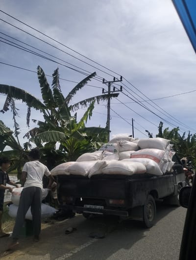 The image, taken in Cotentung, Indonesia, depicts a rural scene under a bright, cloudy sky. In the foreground, a black pickup truck is loaded with numerous white sacks, likely containing agricultural goods. Two young men are engaged in moving these sacks. One man, wearing a white t-shirt and grey pants, is actively handling a sack. Another young man, wearing a dark t-shirt, is assisting. The truck is parked on a paved road, with a grassy shoulder. In the background, lush banana trees are abundant, suggesting a tropical environment. Electrical poles and wires are visible above the trees, indicating the presence of infrastructure. The overall atmosphere is one of outdoor labor and daily life in a semi-rural Indonesian setting.