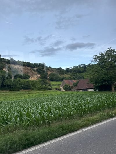 The image depicts a rural landscape under a cloudy sky. In the foreground, a field of tall green corn stalks extends across the frame, bordering a grey asphalt road with a white stripe. Behind the cornfield, a gentle slope leads up to a wooded area and a rocky cliff face. Two buildings with red tile roofs are nestled amongst the trees on the right side of the frame. The scene suggests a serene countryside setting, possibly near Breisach am Rhein, Germany, given the characteristic German rural architecture. There are no people or animals visible in the image.