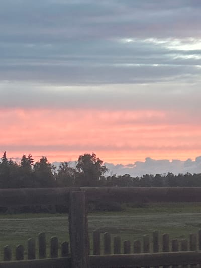 The image depicts a rural landscape at dusk, with a dramatic sky featuring hues of pink and grey. A silhouetted treeline separates the sky from a dark, wooden fence in the foreground, which encloses a grassy field. The fence is made of rough-hewn posts and horizontal rails. No specific location in the city of Appany, Russia, can be identified from the image, as the scene is generic and lacks distinguishing landmarks. There are no people or animals visible in the frame.