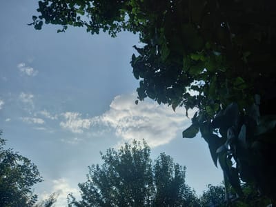 This media file shows a view looking up towards the sky through the canopy of several trees. The sky is a light blue with scattered white clouds, suggesting it is daytime, possibly late afternoon given the warm, soft lighting. The trees are lush and green, with dense foliage that partially obscures the sky in several areas. Some branches and leaves are in sharp focus, while others are blurred, creating a sense of depth. The overall impression is one of a peaceful, natural setting. There are no people or objects visible, and no text is present. The location context is Keles, Uzbekistan.