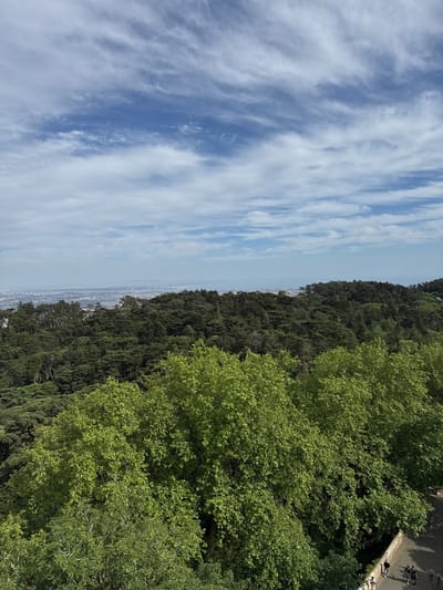 The image depicts a scenic view in Sintra, Portugal. The foreground is dominated by lush, green trees. A stone wall and walkway are visible on the right, with several people walking along it. Beyond the immediate trees, a dense forest stretches towards the horizon. In the distance, a cityscape is faintly visible under a partly cloudy, blue sky.