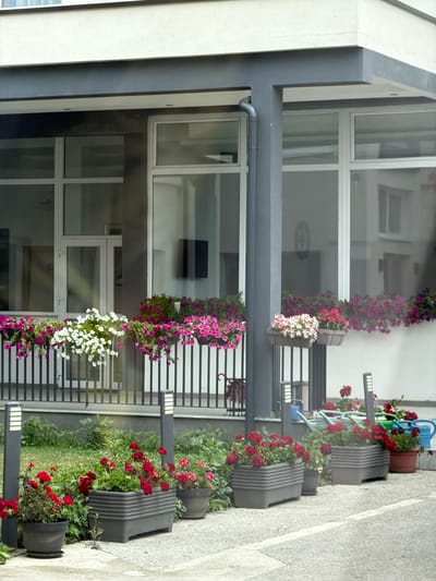 The image depicts the exterior of a building, likely a commercial or residential property, in Nević Polje, Bosnia and Herzegovina. The building features a modern architectural style with large windows and a covered walkway.
Along the railing of the walkway, numerous flower boxes are strategically placed, overflowing with a vibrant display of colorful flowers. These include clusters of bright pink and white petunias, as well as red and pink geraniums. The flowers are lush and well-maintained, creating an attractive facade.
In the foreground, several large planters contain more red geraniums, adding to the overall abundance of floral decoration. Two modern, dark gray bollard-style lights are positioned on the paved area, complementing the contemporary design of the building.
Adjacent to the planters, a collection of watering cans in various shades of blue and green are visible, suggesting recent or ongoing plant care. The ground surface is a mix of gravel and paved areas, indicative of an outdoor urban or suburban setting. The environment appears clean and well-kept. There are no people visible in the image. The overall impression is one of a carefully curated and visually appealing outdoor space associated with the building.