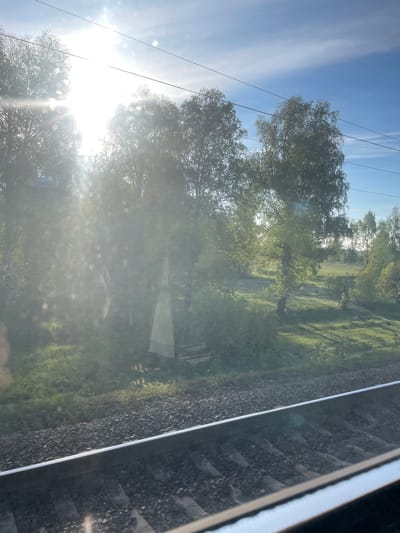 The image, taken from a moving train in Лесная Поляна, Russia, shows the landscape through the train window. Sunlight creates a glare on the window. Outside, trees are visible, some backlit by the sun. Greenery covers the ground. Train tracks run parallel to the window. Overhead power lines are visible in the sky.