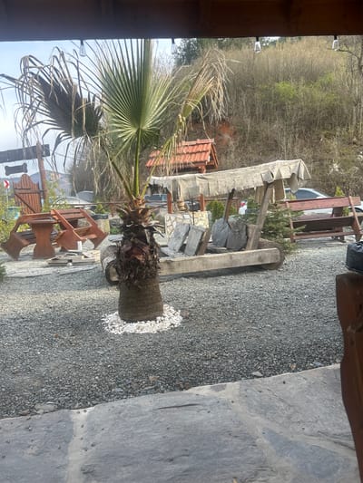 The image shows an outdoor scene, possibly a courtyard or garden, located in Tserovo, Bulgaria. A palm tree in a planter sits on a gravel surface surrounded by small white stones. A stone slab forms part of the paving adjacent to the gravel. In the background, a wooden structure and bench are visible, as well as parts of a building with a terracotta-tiled roof. The surrounding landscape includes trees and foliage. The image has been rotated. There is no evidence of people in the shot.