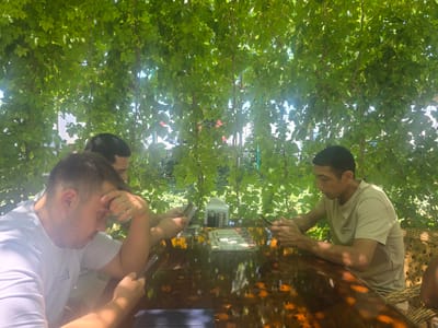 Three young men are seated at a dark, reflective table outdoors, under a canopy of lush green leaves. Sunlight filters through the foliage, creating dappled patterns on the table and highlighting the scene. The men appear to be at a restaurant or cafe, as evidenced by a menu placed on the table, along with salt and pepper shakers and a napkin dispenser. Each man is engaged with his smartphone, with two of them looking down at their screens and one of them holding his phone up, possibly showing something to another person. The man on the left is wearing a white t-shirt and has his hand on his forehead, seemingly in thought or concentration. The man in the center is partially obscured by the man on the left, but he also appears to be looking at his phone. The man on the right, wearing a light-colored t-shirt with a logo, is also focused on his phone. The environment suggests a pleasant, casual outdoor dining experience in Kasan, Uzbekistan, likely on a warm day. The background shows glimpses of buildings and greenery, consistent with an urban setting in this region.