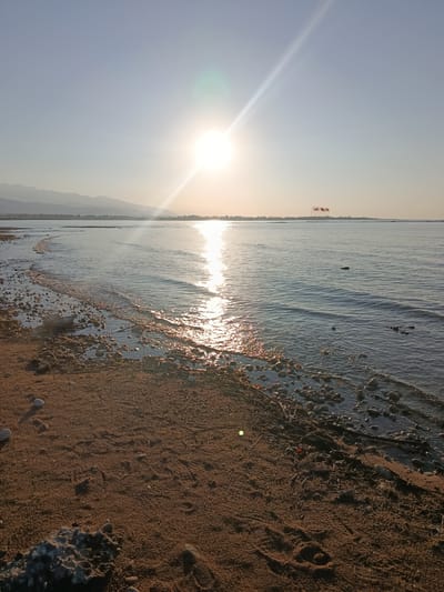 The image shows a tranquil lakeside scene in Kurskoe, Kyrgyzstan, with the sun setting over the water. The foreground consists of a sandy beach littered with rocks and driftwood. Gentle waves lap at the shore, reflecting the golden hues of the setting sun. In the distance, a line of mountains forms a silhouetted backdrop against the pale sky. A group of flags is visible on poles in the water. The overall atmosphere is peaceful and serene.