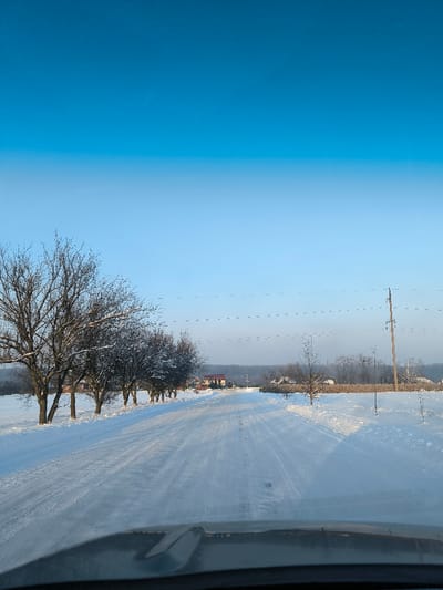 This image depicts a serene winter landscape observed from inside a vehicle, likely in Chervone, Ukraine. A snow-covered road, appearing to be a local or secondary route, stretches into the distance, bearing visible tire tracks from previous traffic.

To the left of the road, a row of bare deciduous trees, their branches lightly dusted with snow, lines the roadside, bordering a wide, snow-covered field. Further into the mid-ground, a few houses or buildings with red roofs are visible nestled amongst the trees, suggesting a small rural settlement. On the right, more snow-laden fields extend outwards, punctuated by sparse trees and a tall utility pole with faint power lines traversing the horizon.

The sky is a prominent feature, showcasing a clear gradient of blue, transitioning from a deeper tone at the top to a lighter, almost pale blue near the horizon, indicative of a bright, cold winter day with no clouds. The lighting suggests either early morning or late afternoon, with the sun casting soft, long shadows on the pristine snow. The bottom edge of the image shows a portion of the vehicle's dashboard or hood, confirming the perspective. The scene conveys a sense of peaceful quietude in a snow-blanketed rural setting. No visible text is present in the image.
