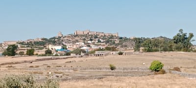 The image shows a wide view of the city of Trujillo, Spain, under a clear blue sky. In the background, a historic castle complex, likely Trujillo Castle, is situated atop a hill. The castle features stone walls and structures, appearing weathered and ancient. Below the castle, the city unfolds with numerous buildings, including houses, apartments, and some industrial-looking structures with corrugated roofs. Several trees are scattered throughout the city and on the surrounding hills.

The foreground of the image consists of a dry, grassy field with some low stone walls and scattered bushes and trees. The overall landscape suggests a rural or semi-rural environment surrounding the historic city. The lighting indicates it is daytime, with the sun casting shadows. There are no visible people or animals in the frame. The perspective is from a slightly elevated position, looking across the field towards the city and the castle. The colors are muted, dominated by the earthy tones of the dry landscape and the neutral colors of the buildings.