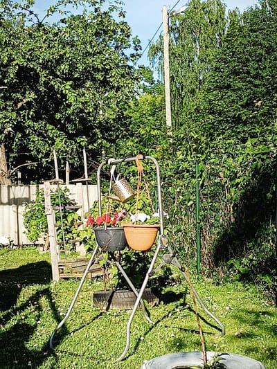 This image depicts a backyard scene in the city of Kohtla-Järve, Estonia, on a sunny day. In the foreground, a metal A-frame plant stand holds two hanging planters. The left planter is black and contains red flowers. The right planter is a terracotta color and appears to have white flowers. A decorative metal watering can hangs from the stand. Behind the stand, a weathered wooden ladder leans against a grey corrugated fence. Lush green trees and foliage dominate the background, with a light pole and a streetlight visible on the right side of the frame. The ground is covered in green grass with scattered small white flowers. A portion of a discarded tire is visible in the lower right corner, containing a small plant. The scene suggests a residential garden setting.