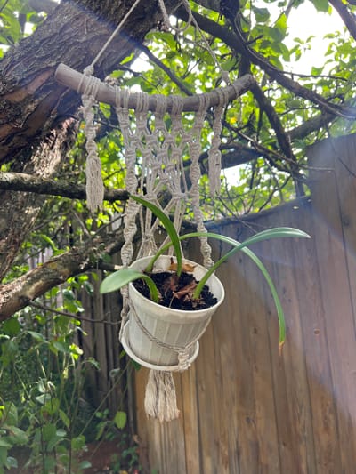 A white potted plant hangs from a macrame plant holder, suspended from a tree branch. The plant has several long, green leaves, some of which are slightly curved. The macrame holder is intricate, with various knotting patterns, and is made of light-colored cord. A small wooden dowel serves as the top support for the holder, tied with rope to the tree branch. The background shows more tree branches and leaves, dappled sunlight, and a wooden fence. The overall setting appears to be outdoors, possibly a garden or backyard. The image is taken in Yakshur-Bod'ya, Russia.