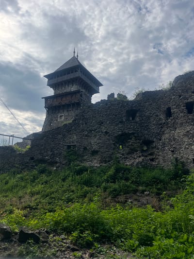 The image presents a dramatic, low-angle view of an ancient stone castle or fortress, likely Nevytske Castle in Kamianytsia, Ukraine. The scene is dominated by the formidable, dark grey stone walls of the structure, which appear to be partially in ruin but also feature preserved or reconstructed elements.
On the left side, a prominent wooden tower or roof structure rises above the stone walls. This wooden section is characterized by multiple levels of balconies or platforms supported by intricate timber cross-beams, and culminates in a distinctive, multi-tiered roof with pointed spires. This timber work has a weathered, dark appearance, offering a stark contrast to the rough texture of the surrounding stone. Several small, rectangular window openings are visible within the stone walls.
Vibrant green vegetation, consisting of various plants and bushes, heavily covers portions of the stone walls, particularly on the right side of the image, suggesting the structure's integration with its natural environment.
The sky above is overcast, filled with a dense cover of grey and white clouds, indicating a cloudy daytime. No people or specific activities are visible, allowing the historical architecture to be the sole focus. A thin cable or wire runs across the lower-central part of the foreground. The overall impression is one of historical grandeur and resilience, set against a dramatic, cloudy backdrop.