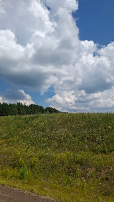 The image depicts a pastoral landscape under a dynamic sky. The foreground is dominated by a gently sloping hill covered in lush green grass, interspersed with wildflowers. A narrow strip of dark, unpaved ground runs along the very bottom edge of the frame, suggesting a road or path.
In the middle ground, a dense line of dark green coniferous trees forms a distinct horizon. The trees appear to be part of a forest or a treeline.
The sky above is a striking contrast of bright blue patches and voluminous white and grey clouds. The clouds are large and fluffy, with some exhibiting darker, more shadowed undersides, indicating depth and movement. The overall impression is of a bright, possibly breezy day in a rural or semi-rural setting.
There are no people or animals visible in the image. The scene is static and serene. The location is identified as the city of Kansk, Russia.