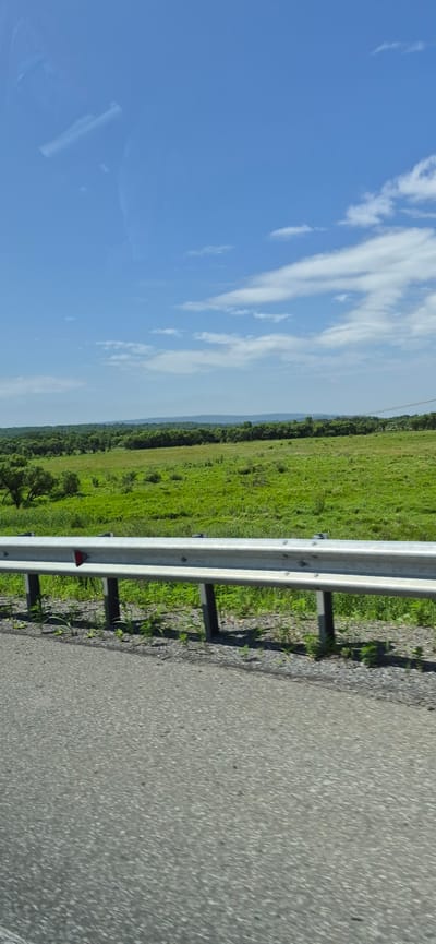 An outdoor, eye-level, wide shot captures a serene landscape on a clear, bright day. In the foreground, a grey asphalt road is visible, separated from a lush green field by a silver metal guardrail. The guardrail is supported by dark grey posts and has a small, red reflective marker attached to its front. The field stretches into the distance, dotted with scattered trees, and eventually meets a dense, dark green treeline that forms a rolling horizon. Beyond the treeline, faint, hazy mountains are discernible. The sky above is a brilliant, cloudless blue, with a few wispy white clouds scattered sparsely near the horizon. The image was taken from a moving vehicle, as evidenced by the reflection of a camera and a portion of the vehicle's interior in the upper left corner of the frame. The scene is devoid of any people or animals. The overall impression is one of a peaceful, rural setting. The metadata indicates the location as Gorodechnoe, Russia.