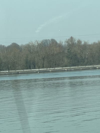The image captures an outdoor scene in Altenheim, Germany, dominated by a body of water in the foreground under a light blue-grey sky. The water surface exhibits numerous ripples and reflections. A low, concrete or paved barrier, topped by a metallic guardrail, extends horizontally across the midground, separating the water from a landmass. A small, white bird is perched on this barrier, positioned slightly to the left of the image's vertical center. Behind the barrier, a dense treeline of predominantly bare deciduous trees, interspersed with some evergreen foliage, forms the horizon. The sky is a uniform light blue-grey, appearing hazy or lightly overcast. Faint, horizontal lines consistent with overhead power lines are visible in the upper sky. A small, distinct, white spherical object is present in the upper-mid sky, to the right of the image's center point. Additionally, a faint, elongated, wispy white cloud or contrail is visible in the upper-left quadrant of the sky.