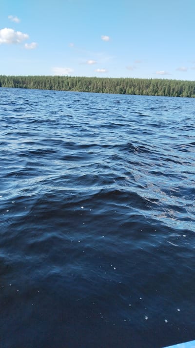 The image depicts a serene natural landscape. In the foreground, the deep blue waters of a lake are slightly rippled, with small white specks scattered across the surface, possibly foam or debris. Beyond the water, a dense, dark green forest stretches horizontally across the frame, forming a natural border. The sky above is a clear, pale blue, dotted with a few wispy white clouds. The overall scene suggests a tranquil setting, likely in the vicinity of Nadvoitsy, Russia, given the characteristic dense forestation and vast bodies of water typical of the region. There are no people or man-made structures visible in this particular frame.