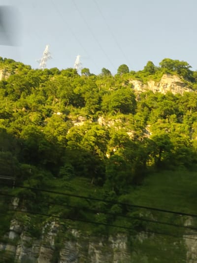 The image shows a hilly, forested landscape with power lines and two tall, lattice-style electrical towers visible against a pale blue sky. The trees are dense and green, covering the slopes of the hills and the cliff faces. Sunlight illuminates some of the foliage and rock formations, creating bright highlights and shadows. The power lines are strung between unseen poles or towers, crossing the upper portion of the image. In the foreground, there are more power lines closer to the viewer, and a rocky cliff face with sparse vegetation. The scene appears to be a natural or semi-natural environment, possibly a park or an area on the outskirts of a town or city. While the image has been described as being taken in the city of Galitsyno, Russia, there are no specific identifying landmarks or features within the image that can definitively confirm this location.