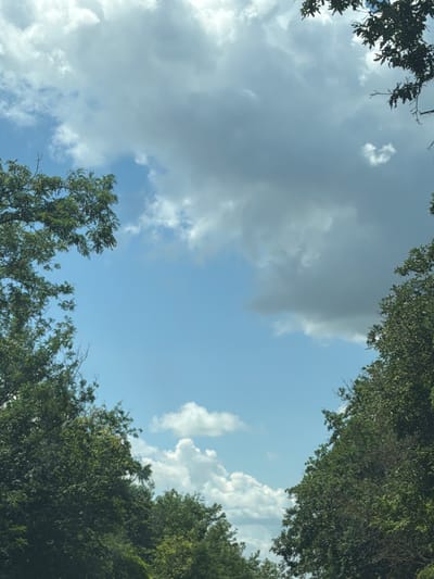 The image captures a view of the sky with trees framing the edges. The sky is a mixture of blue and gray clouds, with some brighter patches indicating sunlight breaking through. Green foliage from trees occupies the bottom and sides of the frame, creating a natural border. The scene appears to be outdoors, likely in a park or a natural setting within the city of Garchinovo, Bulgaria, given the context. There are no people or discernible actions depicted in the image.