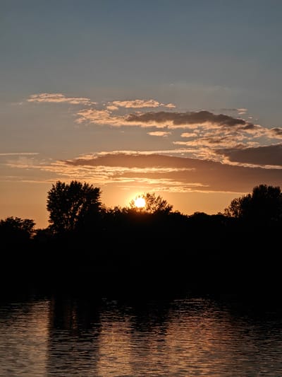 The scene captures a sunset over a body of water, located in Nikolo-Beryozovka, Russia. The sky exhibits a gradient from pale blue at the zenith to vibrant orange and peach hues towards the horizon. Cumuliform clouds are scattered throughout, with some showing orange and pink illumination from below, while others appear darker and grey. The sun, a bright orange disk, is partially obscured by a silhouetted treeline that forms a dark, solid band across the middle of the frame. One prominent, densely foliated tree stands out slightly left of the center within this silhouette. The foreground consists of dark water, displaying fine horizontal ripples and reflecting diffused orange and gold light from the sunset. No individuals, animals, or specific man-made objects are visible within the frame. The scene exclusively presents a natural landscape at dusk.