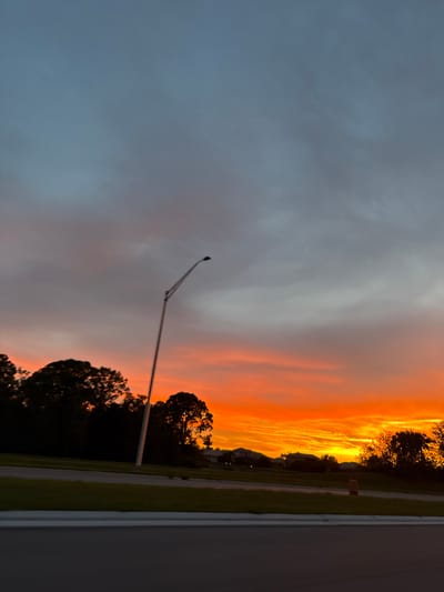 This image captures a vibrant sunset over North Port, Florida, United States. The sky is ablaze with hues of orange and yellow, transitioning to a soft pink and then a dusky blue towards the top. Silhouetted against the colorful sky are the dark shapes of trees and a street lamp. In the foreground, a paved road and a grassy median suggest a suburban or residential area. The overall scene is peaceful and evocative of the end of a day in this coastal Florida city.