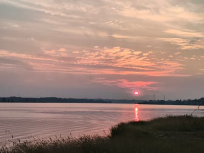 A wide-angle, horizontal, eye-level shot captures a serene sunset over a calm body of water. The sky is painted with soft hues of pink, orange, and gray, with delicate clouds scattered across it. The sun, a vibrant red disc, is partially visible on the horizon, casting a shimmering reflection on the water's surface. The water itself appears calm, with gentle ripples disturbing its smooth expanse. In the foreground, dry grass and reeds line the bank, adding a touch of natural texture to the scene. The distant shoreline is silhouetted against the twilight sky, revealing a faint outline of trees and buildings. The overall atmosphere is peaceful and tranquil, evoking a sense of quiet contemplation. The location is the city of Mencherep, Russia.