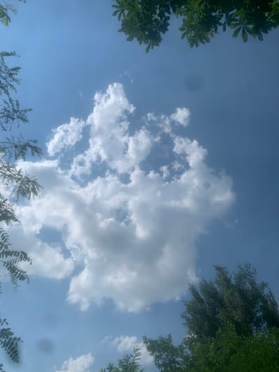 The media file shows a view looking up at a bright blue sky with scattered white clouds. The top corners and bottom of the frame are partially obscured by the dark green leaves of trees, suggesting the photo was taken outdoors in a natural setting, possibly a park or a yard. The lighting indicates it is daytime, likely midday or early afternoon, given the brightness of the sky. The weather appears to be fair with fluffy cumulus clouds, typical of a pleasant summer day. There are no people or man-made objects visible in the frame, focusing solely on the sky and foliage. The image evokes a sense of calm and natural beauty. No text is visible in the media file. The location context is Kosy, Ukraine.