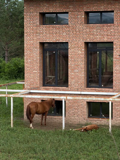 In Shabdan, Kyrgyzstan, a rustic scene unfolds with a two-story brick building as its backdrop. The building's facade is adorned with a pattern of orange-red bricks, punctuated by dark-framed windows on both levels. One horse, a rich chestnut color, stands alert near a window on the lower floor, its tail gracefully swishing. Adjacent to it, another horse of similar hue lies peacefully on the grass, appearing to be resting or asleep. The surrounding environment is a tapestry of green, with lush grass and trees framing the structure, suggesting a rural or semi-rural setting. A weathered, white metal fence, partially dismantled, runs along the lower portion of the building, adding a touch of rustic charm to the composition.