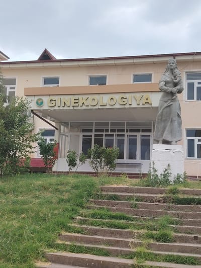 A full, eye-level outdoor shot shows the exterior of a gynecological clinic in Nurafshan (Toytepa), Uzbekistan. The building is a light beige, two-story structure with a dark red, sloped roof. A triangular dormer juts out from the center of the roof. Above the ground-floor entrance, large gold letters spell out "GINEKOLOGIYA." A symbol that appears to be a caduceus within a circle is to the left of the text. To the right of the entrance, a gray stone statue of a woman holding a baby stands on a white pedestal. The building has several windows on both floors. In front of the building, several small green bushes and trees are visible, along with a wide grassy slope leading to a set of stone steps. The sky is overcast.