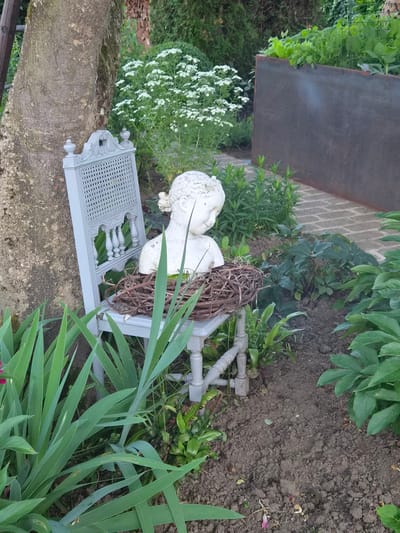 An ornate, light grey, child-sized chair is placed outdoors in a garden setting. The chair has a cane-style back and intricate detailing on the top and legs. A white plaster bust of a young child, with a serene expression, is seated on the chair. A nest-like arrangement of twigs and vines is placed on the seat of the chair, partially encircling the base of the bust. The chair and bust are positioned on the soil of a garden bed, surrounded by lush green foliage. In the background, there is a large tree trunk to the left, a cluster of white flowering plants, and a dark, rectangular metal planter or wall to the right, with a brick pathway behind it. The overall scene suggests a decorative garden element.