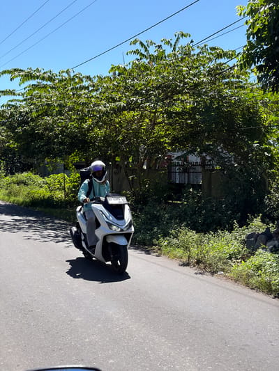 A road in Apitaik, Indonesia, features a white scooter with license plate DR 6595 LZ driven by a person wearing a white helmet and light blue jacket. The road is asphalt, and lush green trees line the side of the road, with some vegetation bordering the edge. Utility poles with lines are visible in the clear blue sky. A building is partially visible through the trees.