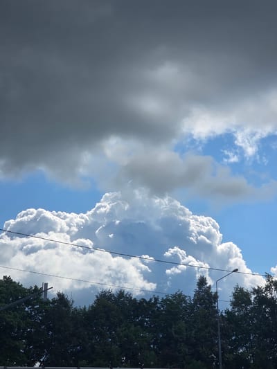 The image depicts a dramatic sky over a dense line of dark green trees. The sky is divided into two distinct sections. The upper portion is dominated by dark, heavy grey clouds, indicating overcast conditions or an approaching storm. Below these, the sky transitions to a vibrant blue, punctuated by bright, voluminous white cumulus clouds that are brightly illuminated by sunlight. These white clouds appear to be building upwards, creating a sense of depth and texture.
In the foreground, a silhouette of trees runs horizontally across the bottom of the frame. These trees are lush and full, obscuring the ground below. Interspersed with the trees are several utility poles and wires, characteristic of an urban or suburban environment. One prominent lamppost with a modern design stands on the right side of the image. The overall impression is one of natural beauty juxtaposed with man-made infrastructure. The scene is static, with no discernible human activity or interaction. The location is identified as Деулино-3, Russia.