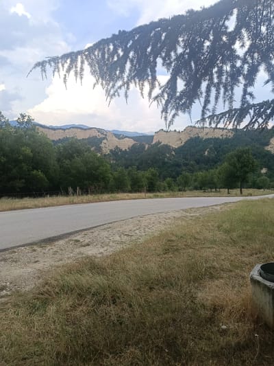 The image shows a scenic view of the Melnik Pyramids in Rozhen, Bulgaria. In the foreground, a paved road curves to the right, bordered by dry, grassy fields. A concrete wellhead is visible on the right side of the road. The background features the distinctive sand formations of the Melnik Pyramids, rising above a dense green forest. The sky above is partly cloudy with a few fluffy white clouds. A large tree branch, likely from a coniferous tree, hangs over the top of the image, partially obscuring the sky and the distant landscape. The overall impression is of a rural, natural environment, highlighting the unique geological features of the region.