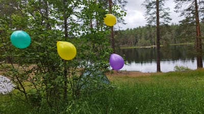 This media file depicts a serene outdoor scene in Orekhovo, Russia. The main subjects are four colorful balloons – one turquoise, two yellow, and one purple – suspended from the branches of a leafy green tree. The balloons appear to be part of a decoration, suggesting a celebratory event or gathering.
The setting is a natural landscape by a calm lake. The lake water reflects the overcast sky and the dense green forest that lines its far bank. Tall pine trees are visible in the midground and background, characteristic of a Russian forest. The foreground is covered in lush green grass, indicating it is likely springtime or summer. A green tent is partially visible behind the tree and balloons, suggesting camping or an outdoor excursion.
The time of day appears to be daytime, with the cloudy sky suggesting overcast or diffused light. The weather seems mild and possibly cool, typical of a northern climate. There is no visible text in the image. The overall atmosphere is peaceful and tranquil, with the bright balloons adding a touch of festivity to the natural beauty of the location. The scene evokes a sense of relaxation and enjoyment of the outdoors.