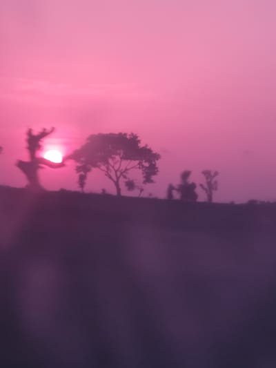 The image captures a sunset in Gwaram A, Nigeria. The sky is a vibrant pink hue, gradually transitioning to a deeper purple at the bottom of the frame. Silhouetted against the colorful sky are the outlines of trees and a barren landscape. The sun, a bright orb, is partially obscured by the branches of a tree on the left side of the image. The foreground is a blurred expanse of dark purple, suggesting a ground or a body of water. The overall impression is one of a serene, natural landscape at dusk.