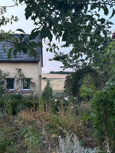 This image depicts a serene garden scene with a house in Ammeldingen bei Neuerburg, Germany. In the foreground, a lush garden is filled with a variety of plants, including roses climbing the side of a light-colored house. Two windows with white frames are visible on the house, reflecting the surrounding greenery. Beyond the garden, a field of dry grass stretches out under a pale sky. An arched trellis covered in vines stands in the middle ground, leading the eye towards the distant landscape. The overall impression is one of a tranquil rural setting.
