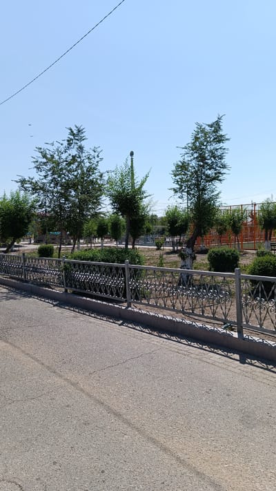 The image shows a street scene in Balqaş, Kazakhstan. In the foreground, a paved road with visible cracks and tire marks runs horizontally. To the right of the road is a decorative metal fence with an intricate diamond pattern, separating the street from a park or green space. Beyond the fence, there are several young trees with white-painted trunks, scattered bushes, and a lamppost. The park area appears to be a public space with benches and playground equipment visible in the background. Further in the distance, an orange fence encloses a recreational area, possibly a sports court. The sky is clear and blue, with a thin power line stretching across the upper portion of the image. A few birds are visible in flight against the sky. The overall scene depicts a sunny day in an urban or semi-urban environment.