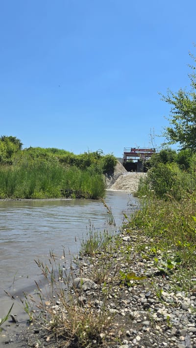 The image depicts a waterway with a small dam structure visible in the background. The dam appears to be made of concrete and metal, with a red gate mechanism. The water is a murky brown color, suggesting it may be a river or canal. Lush green vegetation lines the banks of the waterway, with tall grass and trees forming a dense barrier. The ground beside the water is covered in small stones and pebbles. The sky above is a clear, bright blue, indicating a sunny day. A small dark speck, possibly a bird or insect, is visible in the sky. The scene is tranquil and natural, with no visible human activity or text. The orientation of the image is landscape, with the waterway and vegetation occupying the majority of the frame. The time of day appears to be daytime, judging by the bright sunlight and clear blue sky. The overall impression is one of a rural or natural environment, possibly in Goyty, Russia, given the location context.