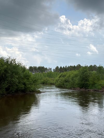 This image captures a serene natural landscape near Glukhari, Russia. A wide, dark river flows through the center of the frame, reflecting the overcast sky and the lush green vegetation that lines its banks. The water appears calm with gentle ripples. Dense green trees and bushes dominate the immediate foreground on both sides of the river, with a line of taller pine trees forming the backdrop. Above the trees, power lines crisscross the sky, a subtle human intrusion into the otherwise wild scenery. The sky is a mix of gray clouds and brighter patches, hinting at the possibility of changing weather. There are no people or animals visible in the scene. The overall impression is one of peaceful, natural beauty.