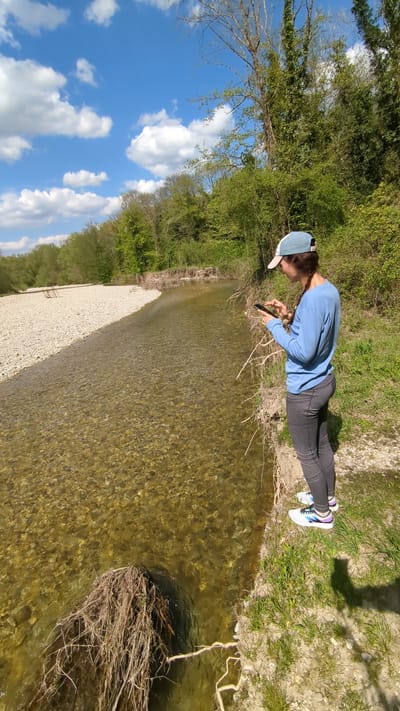An outdoor scene captured on a sunny day in Beregovoe, Russia, features a woman standing on the bank of a clear river. The woman is positioned on the right side of the frame, wearing a long-sleeved light blue shirt, dark grey leggings, and white sneakers with purple and blue accents. She has a light-colored baseball cap, possibly light blue or grey, with a pink underside to the brim. Her brown hair, possibly in a braid or ponytail, is visible from under her cap. She is looking down, holding a smartphone in her hands, seemingly focused on its screen or using its camera to capture something in the water or nearby.
The river, which dominates the lower half of the image, has exceptionally clear, shallow water, revealing a bed of light-colored pebbles and gravel. A wide, light-colored gravel bank runs along the opposite side of the river. Both banks are densely covered with lush green trees and bushes, suggesting a verdant, natural environment. In the bottom right corner, a collection of dried branches and debris is visible in the water near the bank. The sky above is a vibrant blue with scattered fluffy white clouds, indicating clear weather. The bright sunlight casts distinct shadows, suggesting it is daytime, likely late morning or early afternoon. No visible text is present in the image.