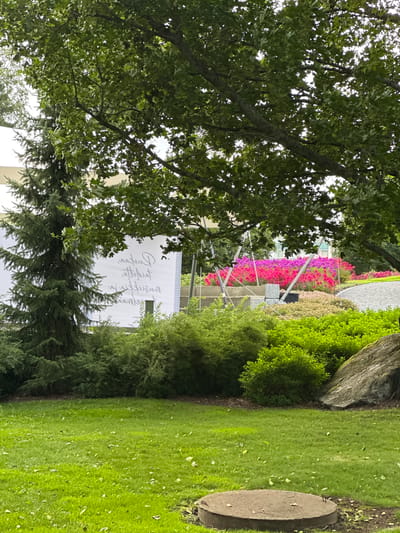 The image depicts a serene outdoor scene, likely in a park or garden setting within Vammala, Finland. In the foreground, a well-maintained green lawn is dotted with fallen leaves. A circular concrete structure, possibly a manhole cover or utility access, is situated in the lower right portion of the lawn. Behind the lawn, a dense arrangement of lush green bushes forms a natural barrier.

Dominating the middle ground is a vibrant flowerbed bursting with a profusion of pink and magenta blossoms, interspersed with paler pink and peachy-toned flowers. These colorful blooms create a striking visual contrast against the verdant foliage. A gravel pathway curves gently to the right of the flowerbed.

Further back, a white banner with handwritten text in a cursive font is visible, partially obscured by a tall, dark green evergreen tree to its left. Behind the banner and trees, a modern building with light-colored walls and windows can be seen, suggesting an urban or institutional context. The entire scene is partially shaded by the large, leafy branches of a mature tree that overhangs from the top of the frame, creating a dappled light effect. The sky above is overcast, contributing to the soft, diffused lighting. No people are visible in the image.