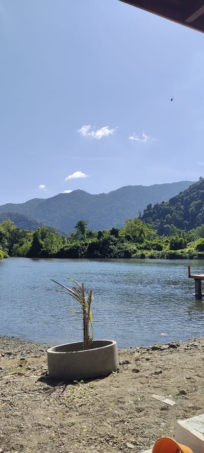 This image depicts a serene natural landscape near Lamseunia, Indonesia. A calm body of water, likely a river or lake, occupies the foreground and midground, reflecting the clear blue sky. Lush green mountains covered in dense vegetation form the backdrop. The shoreline is composed of pebbles and sand. In the immediate foreground, a concrete planter holds a small, dried plant. A wooden dock is visible in the right midground, extending into the water. The sky is predominantly clear blue with a few wispy white clouds. A small, dark object, possibly a bird or insect, is visible in the upper right portion of the sky. The overall scene is one of natural beauty and tranquility.