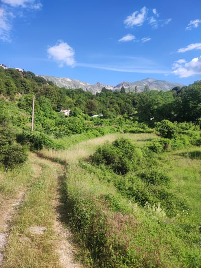 A dirt path leads through a lush, green landscape with rolling hills and distant mountains under a bright blue sky with scattered clouds. The path, covered in grass and dirt, winds from the foreground into the middle ground, where it meets a field of taller grass. Dense green foliage, including trees and bushes, blankets the hillsides. A small, red-roofed building with white walls is nestled among the trees on the left side of the frame. A wooden utility pole stands near the building, with wires extending across the scene. In the background, rugged, rocky mountains rise, their peaks partially obscured by trees. The overall scene depicts a rural, natural environment. The location is Egnatia Municipal Unit, Greece.