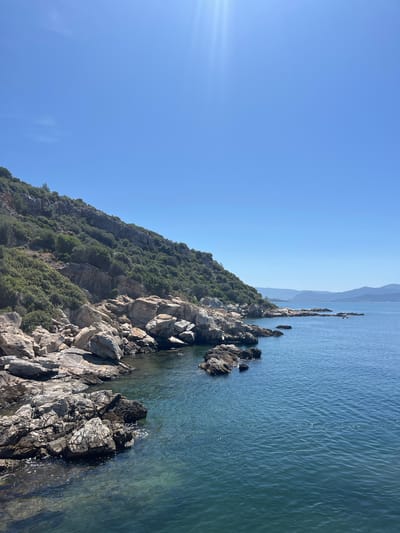 The image captures a serene coastal landscape under a bright, clear blue sky. The scene is dominated by a rocky, tree-covered hillside on the left, sloping down towards a calm body of water on the right.

In the foreground and midground, a rugged coastline is visible, featuring numerous grey and dark-colored rock formations that extend into the water. Some rocks are partially submerged, while others create a jagged edge along the shore. The hillside itself is densely covered with green trees and shrubbery, interspersed with exposed rock faces, suggesting a verdant, natural environment.

The water, likely the Aegean Sea given the Menderes, Turkey location context, appears a clear blue-green hue with subtle ripples on its surface, indicating gentle movement. Further out, the water stretches towards a hazy horizon where distant mountain ranges are faintly visible, their outlines softened by atmospheric perspective.

The sky is a brilliant, unblemished blue, with a soft lens flare evident in the upper left quadrant, suggesting the bright presence of the sun. The time of day appears to be late morning or early afternoon, bathed in abundant natural light. The weather is clear and sunny.

No people, animals, or man-made structures are visible, emphasizing the untouched natural beauty of the area. There is no visible text in the image. The overall impression is one of peacefulness and natural grandeur.