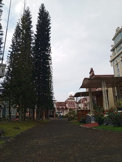 The image captures a paved pathway in the city of Weintiapa, Liberia, under an overcast sky. On the left, a dense cluster of multiple tall, slender evergreen conifer trees with dark green foliage stands on a grassy area, some extending beyond the top of the frame. A thin, vertical pole is partially visible on the far left. On the right, a sequence of multi-story buildings displays elaborate, European-inspired architecture with ornate gables, decorative facades, and reddish-brown tiled roofs. The closest building on the right features a light-colored exterior with a blue and white decorative gable and two covered patio structures supported by white vertical beams. Beneath these patios, garden beds contain green plants and red flowering shrubs in black planters. Further along the path, additional buildings in similar architectural styles are visible, exhibiting varied facade colors such as pink and white, and red and white, with one structure featuring a visible clock face. A small green umbrella is positioned in front of one of the mid-ground buildings. The dark-colored paved path, possibly patterned concrete or asphalt, extends from the foreground into the distance, curving slightly to the right. No individuals are discernible within the scene.