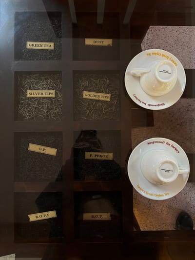 An overhead view captures a dark wooden display table with a glass top, located within a tea-related establishment in Ramboda, Sri Lanka. The table features eight square compartments, each containing a different type of tea, identified by a rectangular beige label with black text.
From top-left, clockwise, the tea types are: "GREEN TEA" (finely rolled dark leaves), "DUST" (very fine dark particles), "GOLDEN TIPS" (slender golden-brown tea buds), "F. PEKOE" (dark, twisted leaf fragments), "B.O.P." (granular dark tea), "B.O.P.F" (finely broken dark tea), "O.P." (long, wiry dark leaves), and "SILVER TIPS" (slender, silvery-white tea buds).
Two white ceramic tea cups are inverted on matching saucers on the right side of the table. The saucers display circular text in red and yellow: "kingswood tea factory" and "factory fresh Ceylon tea." The visible bases of the inverted cups are marked "Noritake Lanka Porcelain" and "Sri Lanka." A reflection of a smartphone is visible on the glass surface above the "F. PEKOE" and "O.P." compartments. A dark shoe is partially visible in the bottom-right corner on a speckled floor surface. No individuals are explicitly depicted, but the reflection and shoe indicate a person is actively viewing and photographing the display.
