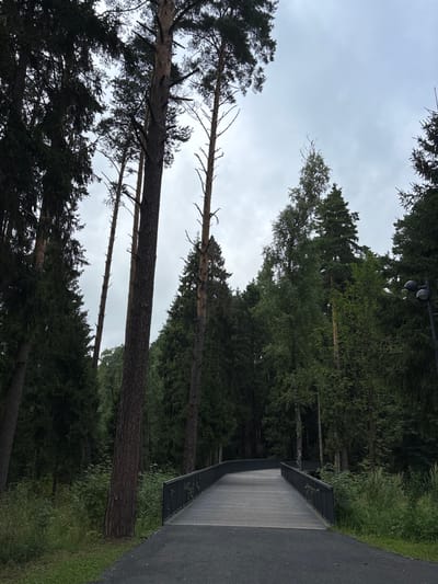 The image depicts a paved pathway curving through a dense forest. Tall, slender pine trees with dark bark dominate the scene, their branches reaching towards an overcast sky. The path itself is made of wooden planks, bordered by a dark metal railing. To the right of the path, lush green foliage and tall grasses grow abundantly. In the far right of the frame, a modern lamppost with two lamp heads is visible. The overall impression is one of a tranquil, natural setting within a forest. The location is identified as Pavlovskaya Sloboda, Russia.
