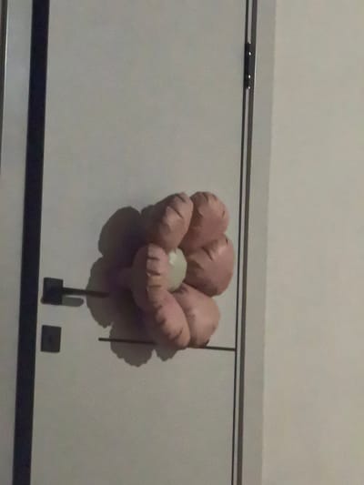 A person's hand is visible on the right side of the frame, reaching towards a large, decorative, pink, flower-shaped object mounted on a light-colored door. The flower has a pale green center. The door appears to be a standard interior door, with two black door handles visible on the left side. A thin, vertical, dark strip runs along the left edge of the door, likely a frame or decorative element. The background to the right of the door is a plain, light-colored wall, illuminated by soft light, suggesting an indoor setting. The shadows cast by the flower and hand indicate a light source from the left. The scene is devoid of any external weather cues. There is no visible text in the image.