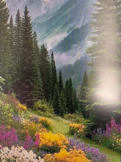 The image depicts a vibrant alpine meadow in front of a mountain range, likely a landscape painting given the pixelated quality and apparent artistic rendering. Dense evergreen trees dominate the left side of the frame, forming a dark green wall against a backdrop of misty, blue-tinted mountains. In the foreground, a riot of colorful wildflowers blankets a grassy slope, with prominent patches of purple, yellow, orange, and white blooms. A bright light source, possibly the sun, is visible in the upper right portion of the image, casting a luminous glow and creating a hazy effect. The overall scene evokes a sense of natural beauty and tranquility. There is no discernible evidence to suggest this image is related to the city of Mirnoye, Ukraine.
